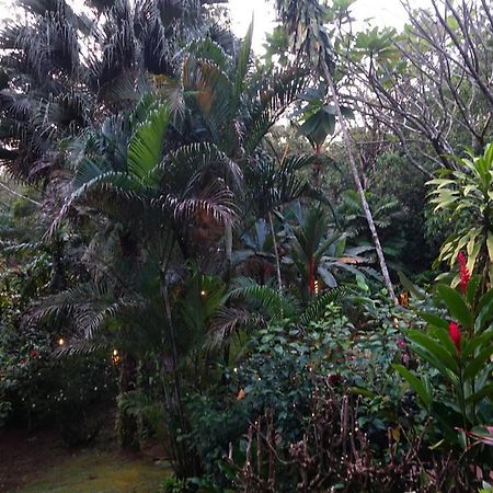 Dos Casitas Villa Ojochal Ngoại thất bức ảnh