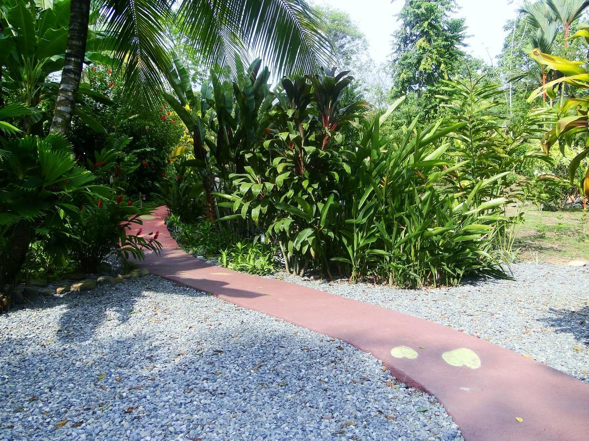Dos Casitas Villa Ojochal Ngoại thất bức ảnh